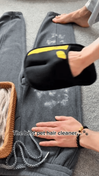 Pawfect Pet Hair Cleaning Glove